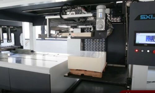 automatic feeder system